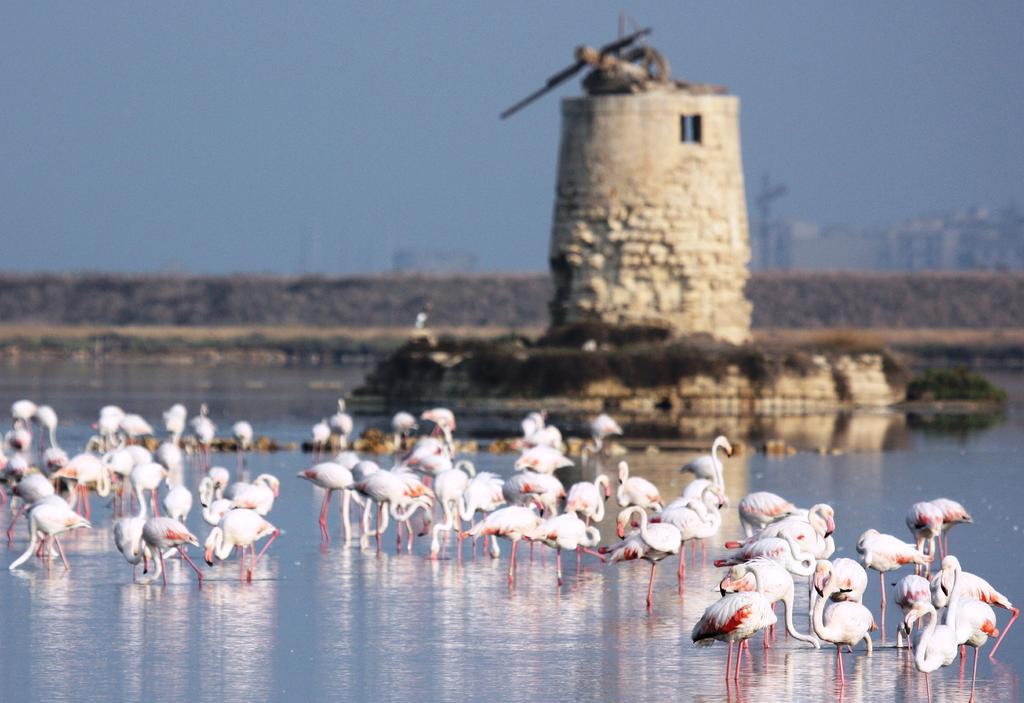 Appartamenti Trapani Mare Екстериор снимка